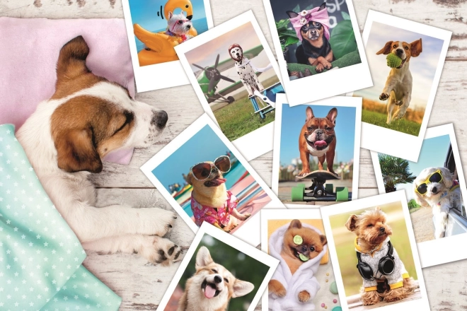 Puzzle de 300 piezas - Fotos de vacaciones