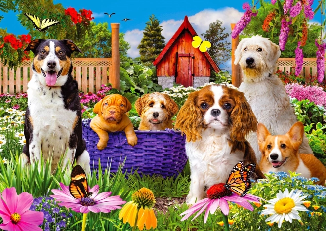 Enjoy Puzzle Patrulla Canina 1000 piezas