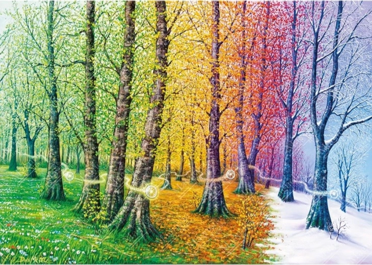 Puzzle Fibras de la vida 1000 piezas MAGNOLIA