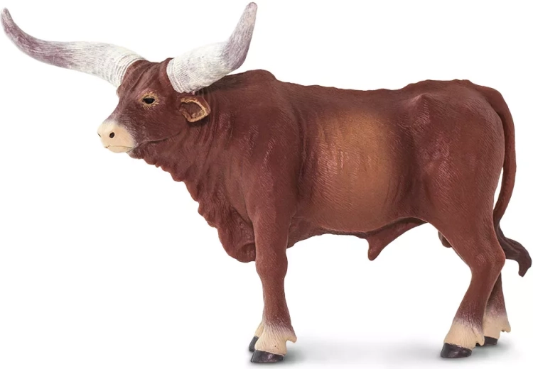 Cuernos típicos del watusi con un acabado realista