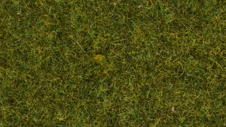 Hierba estática Pradera 4 mm