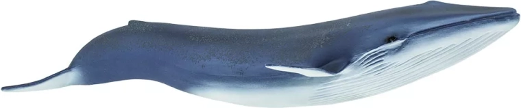 Safari Ltd. figura de ballena azul