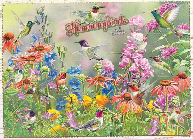 Puzzle colibríes 1000 piezas COBBLE HILL