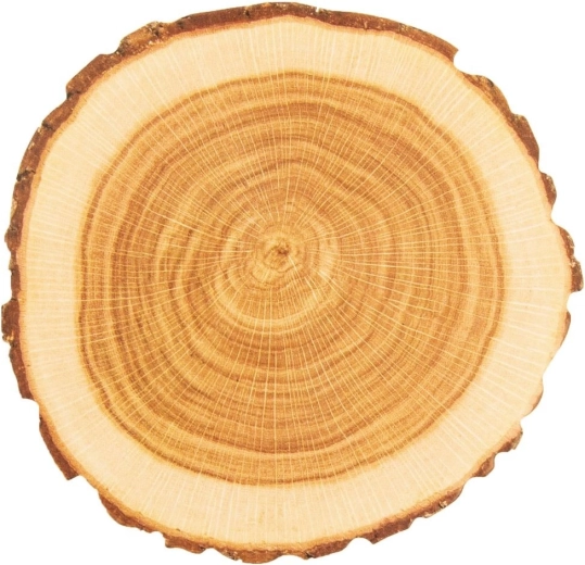 Aspecto natural de una rodaja de madera