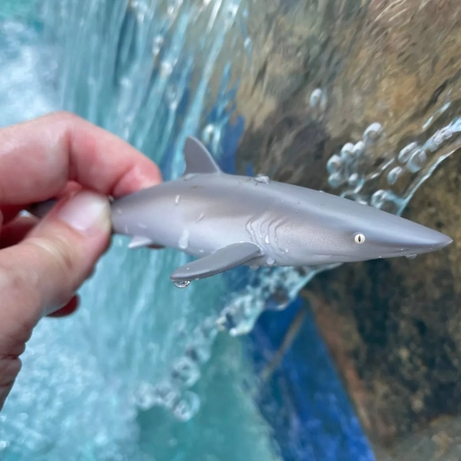 Ideal para viajes y para jugar cerca del agua