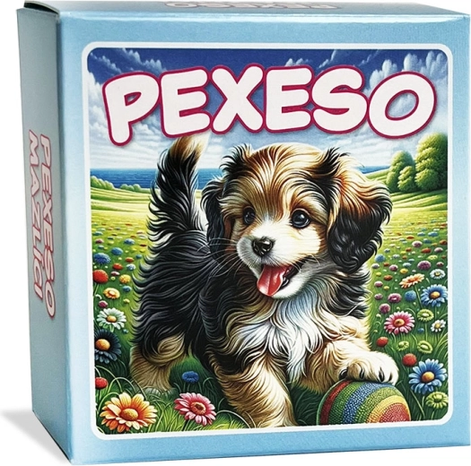 Pexeso Mascotas en caja azul