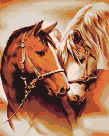 Norimpex Pintura por números Retrato de caballos encabritados 40 × 50 cm