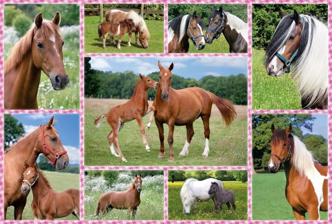 Puzzle Caballos magníficos 150 piezas SCHMIDT