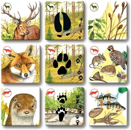 Cartas resistentes para jugar a menudo