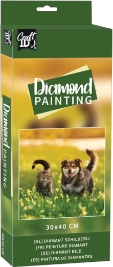 Pintura de diamantes Amigos en el prado 30x40 cm