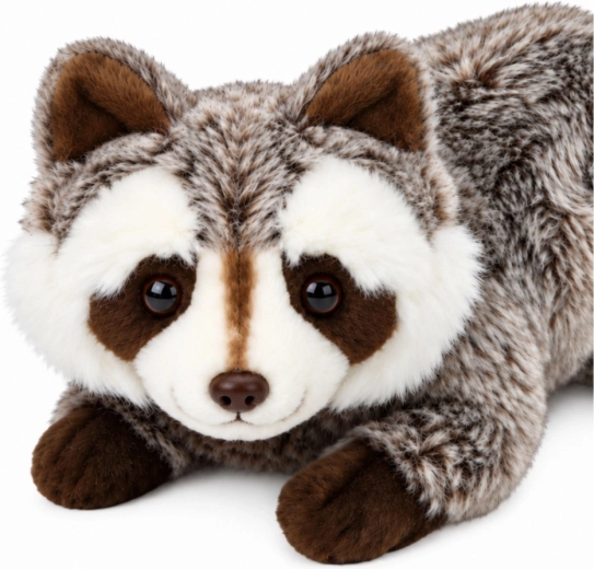 Diseño realista de mapache