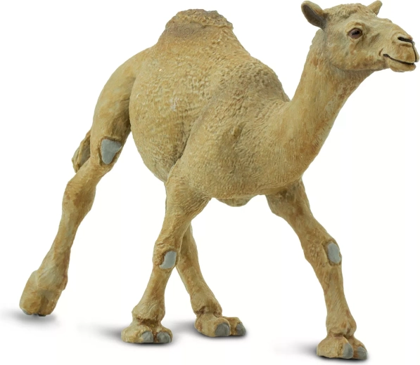 Safari Ltd. figura de dromedario - 1 pieza