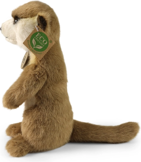 Detalles realistas y postura estable