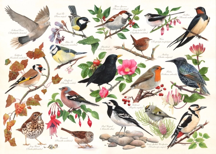 Puzzle Pájaros en el jardín - 1000 piezas
