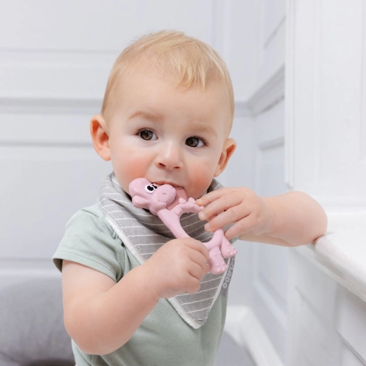 Apoyo al desarrollo de los músculos orales