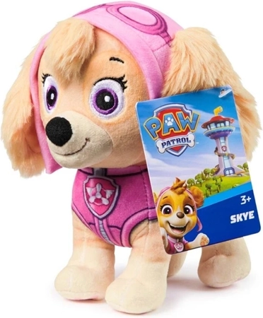 Skye – piloto rosa para pequeños aventureros