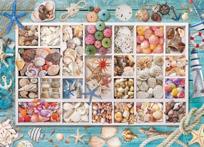 Puzzle EUROGRAPHICS Colección de conchas de Laura – 1000 piezas