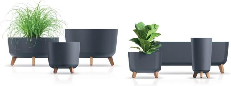 Mejores condiciones para las raíces