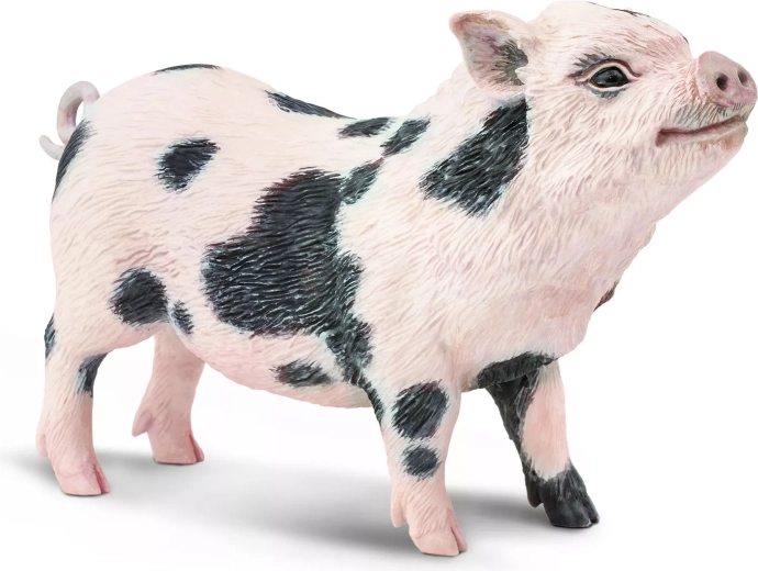 Producto seguro, no tóxico y con enfoque ecológico