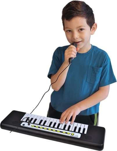 Micrófono para música y canto