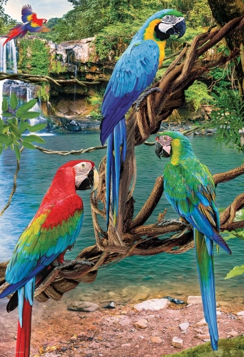 Puzzle EUROGRAPHICS papagayos Ara XL 250 piezas