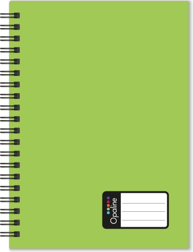 Cuaderno A4 con doble espiral, cubiertas PP, verde, 60 hojas