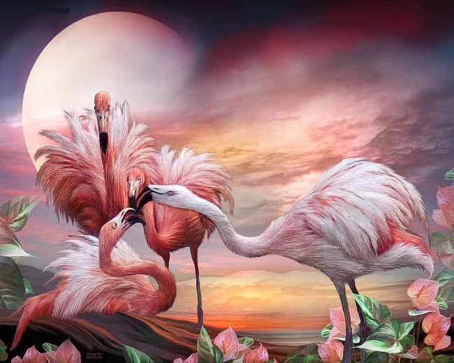 Norimpex Pintura por números Flamencos 40 × 50 cm
