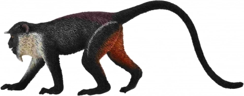 Cercopiteco de Diana Collecta – figura realista de animal