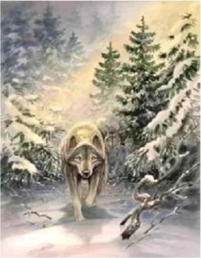 Norimpex pintura por números Lobo en el bosque 40 × 50 cm