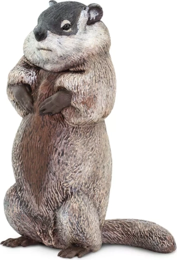 Safari Ltd. figura de marmota - 1 pieza