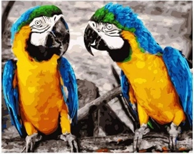 Pintura de diamantes Papagayos 30 × 40 cm