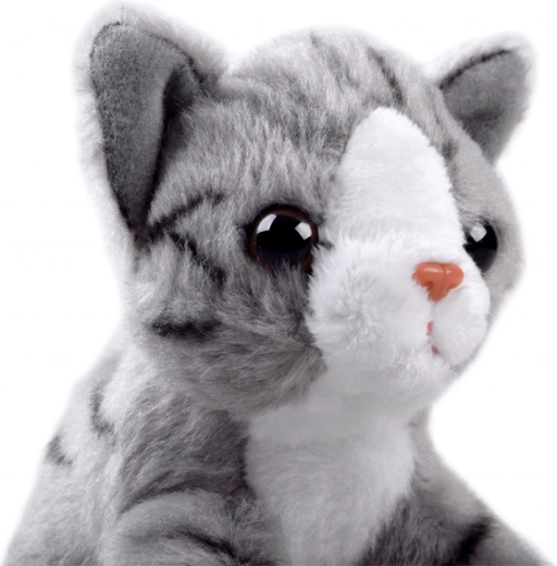 Aspecto realista del gatito