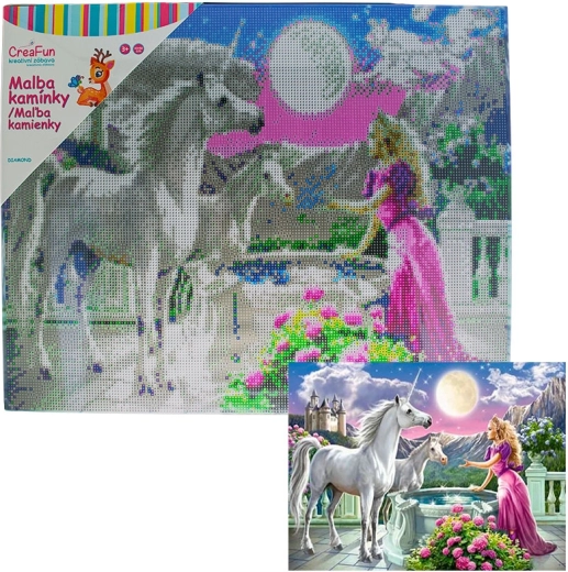 Pintura de diamantes Pegaso y princesa 40 × 50 cm