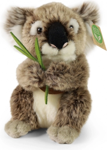 Koala de peluche sentada de 15 cm eco friendly RAPPA
