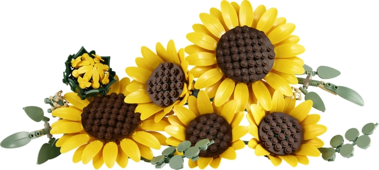 Seis girasoles para un ramo exuberante