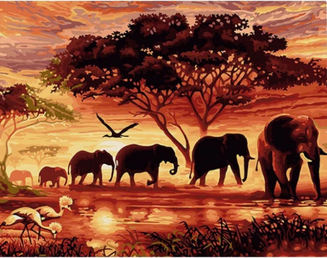 Norimpex pintura por números Manada de elefantes al atardecer 40 × 50 cm