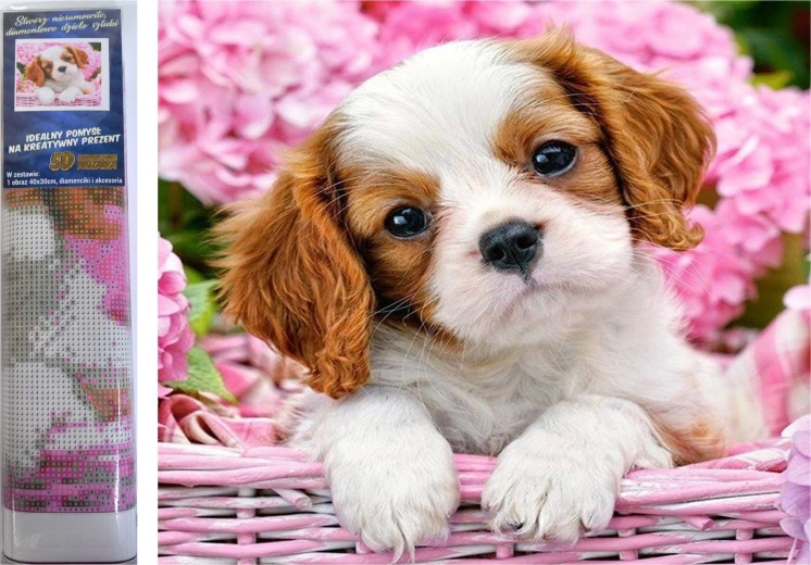 Pintura con diamantes: cachorro en una cesta rosa 30 × 40 cm