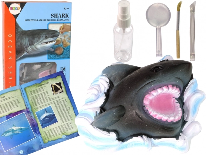 Set educativo Exploración del océano - Tiburón y trilobites