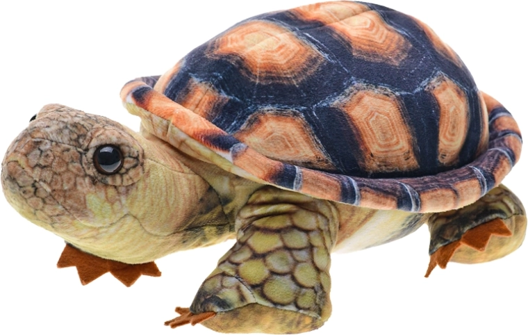 Tortuga de peluche de 25 cm para bebés y niños