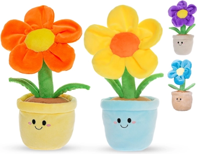 Seguro desde el nacimiento (0+)