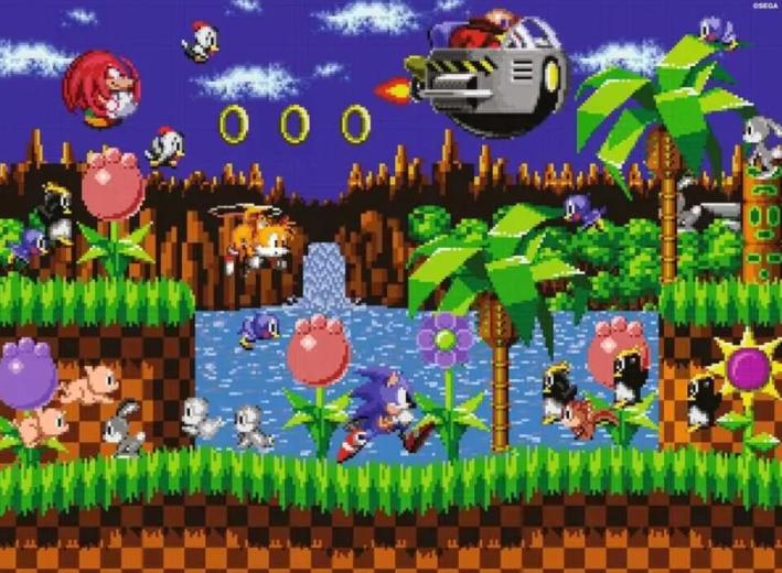 Puzzle Erizo Sonic de 500 piezas