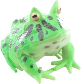 Compacta y ligera