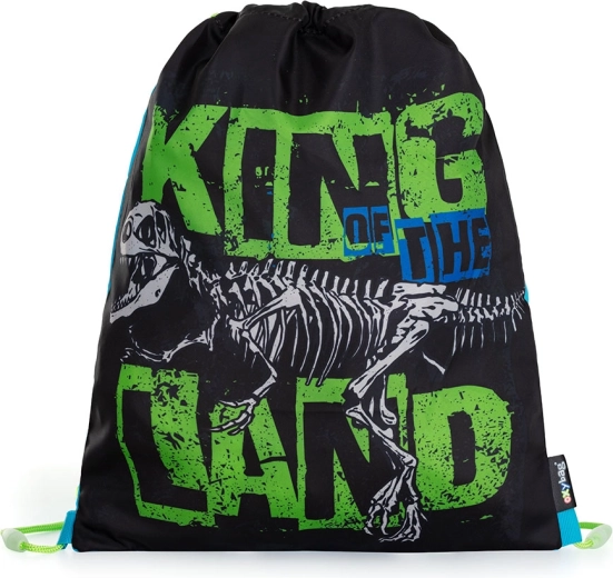 Bolsa para educación física Premium dinosaurio