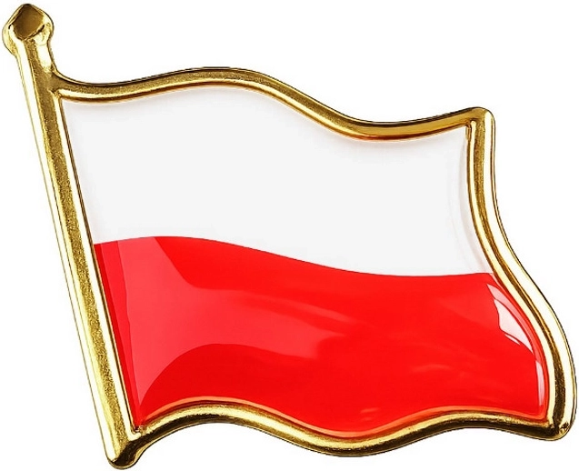 Insignia con broche y bandera de Polonia