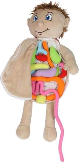 Órganos blandos extraíbles con velcro