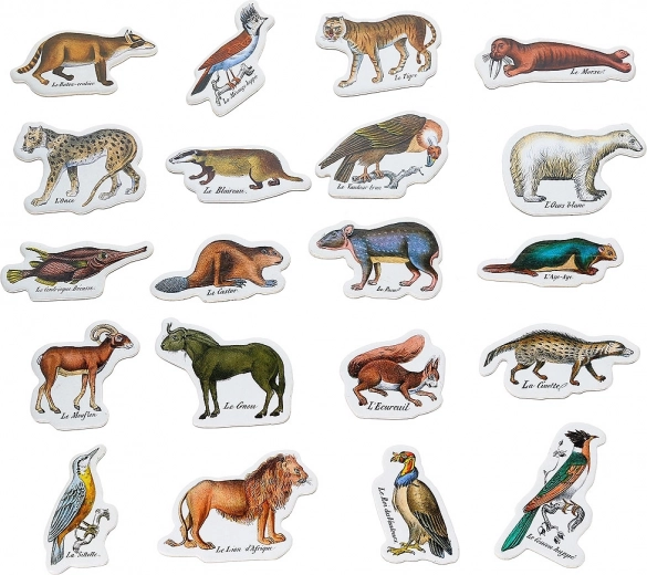 Imanes zoológicos