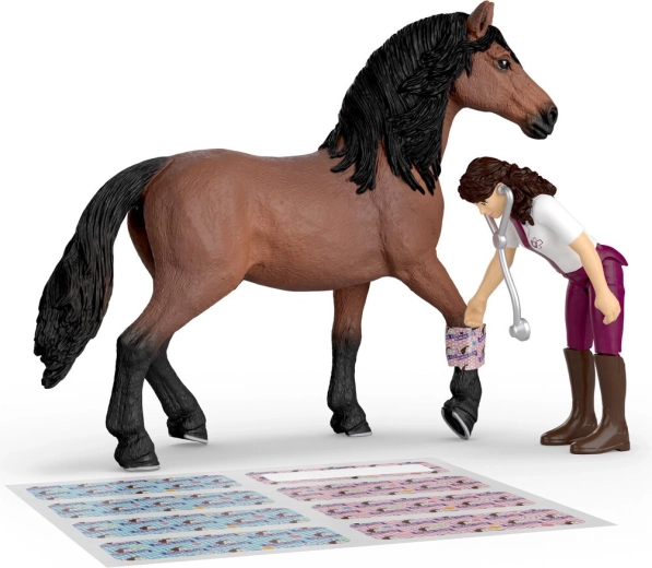 Abundantes accesorios para el tratamiento y el rol de veterinario
