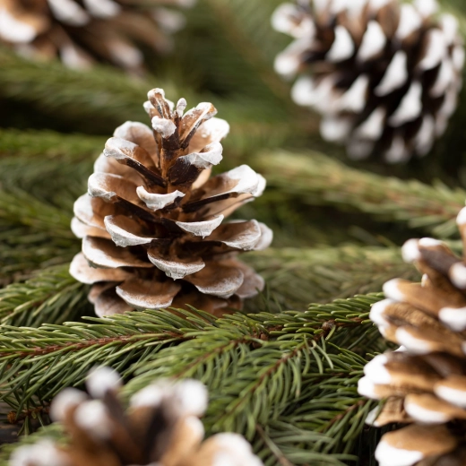Decoración navideña: piñas nevadas en bolsita de organza, 10 unidades