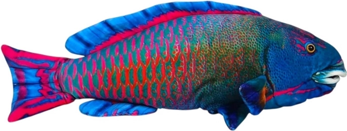Pez marino azul de peluche de 50 cm