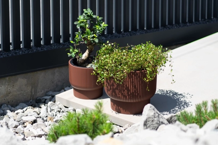 Inserto práctico para una plantación rápida